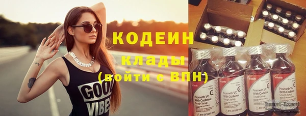 индика Володарск