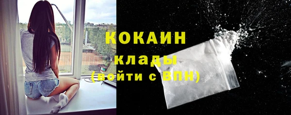 индика Волосово