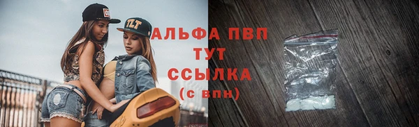 индика Волосово