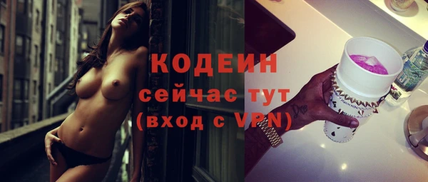 индика Володарск