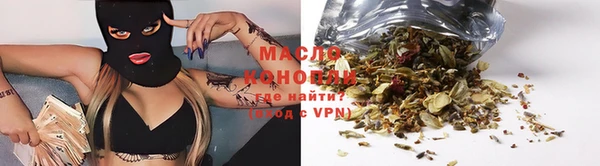 индика Володарск