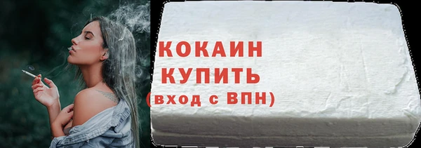 индика Володарск