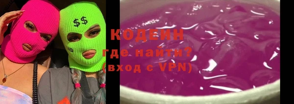 индика Володарск