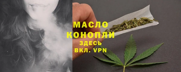 индика Волосово
