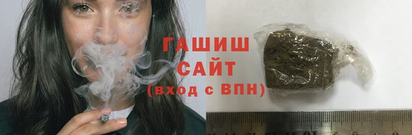 индика Володарск
