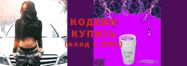 индика Володарск