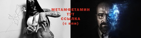 индика Волосово