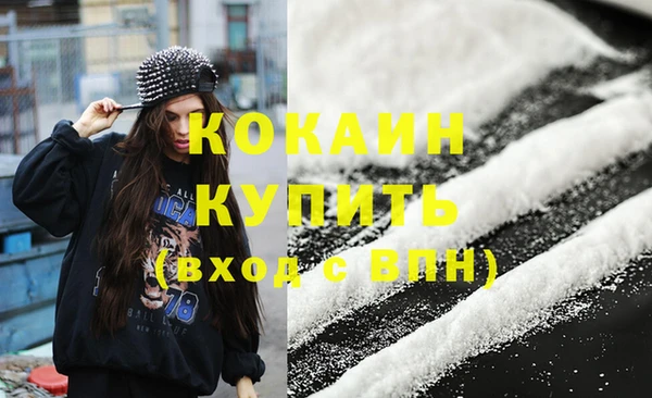 индика Волосово