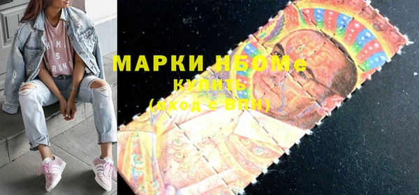 индика Волосово