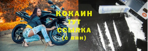 индика Володарск