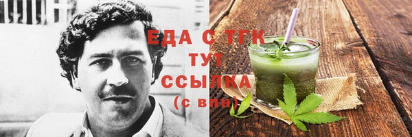 индика Володарск