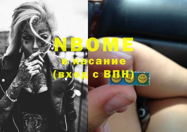 индика Волосово